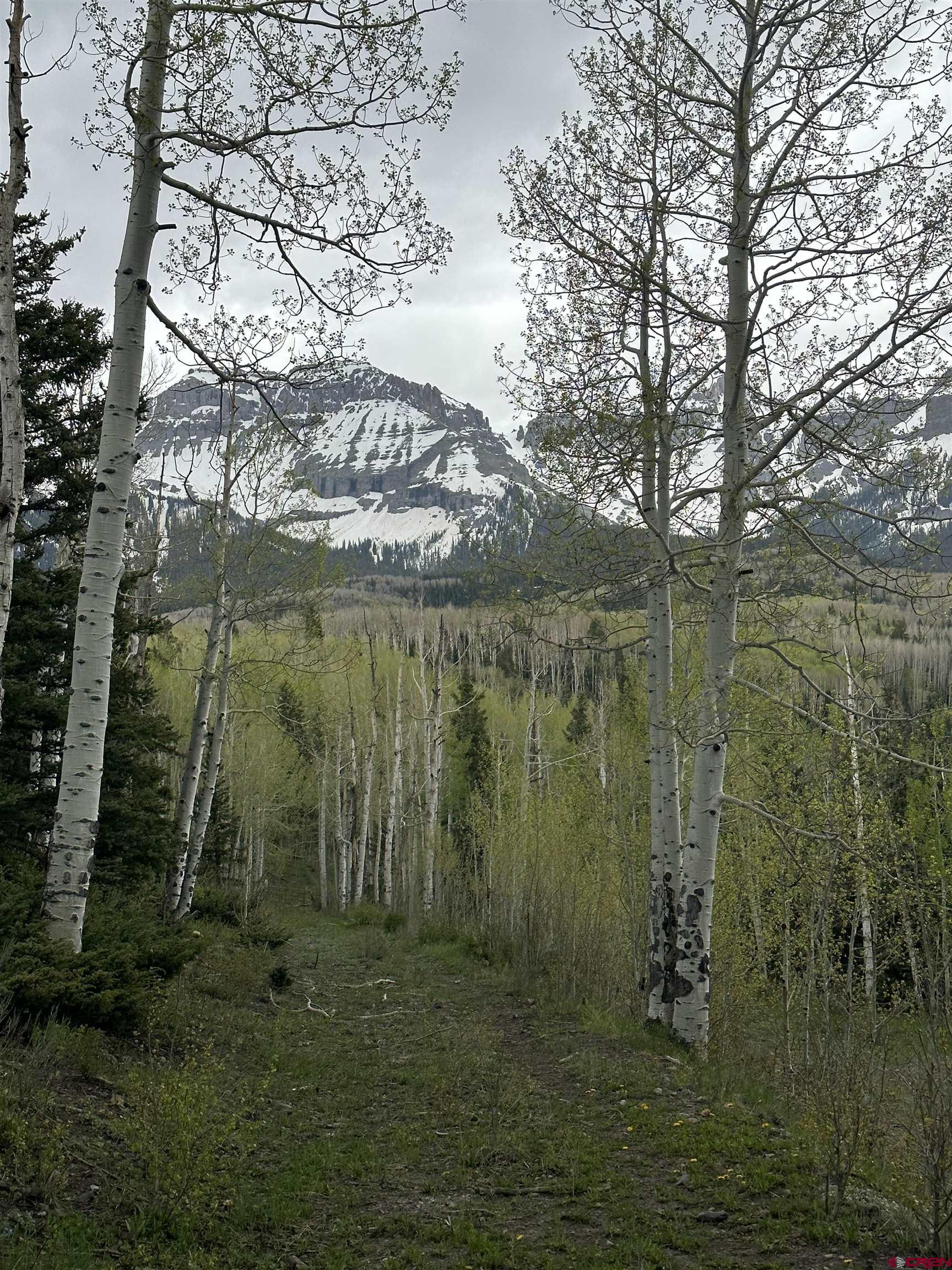 13 County Road 5 Ridgway, CO 81432 - Photo 4 of 23 a view of a lake with lots of trees