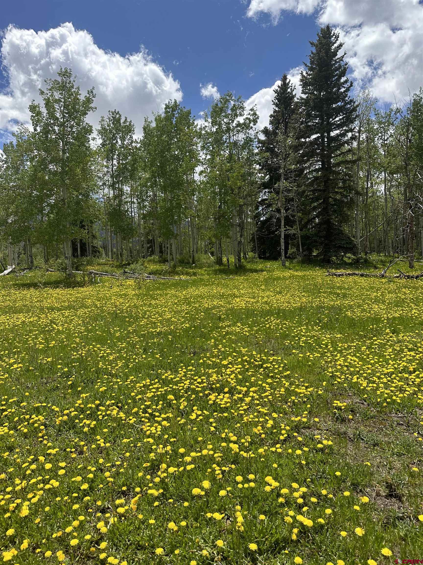 13 County Road 5 Ridgway, CO 81432 - Photo 5 of 23 a view of outdoor space and yard