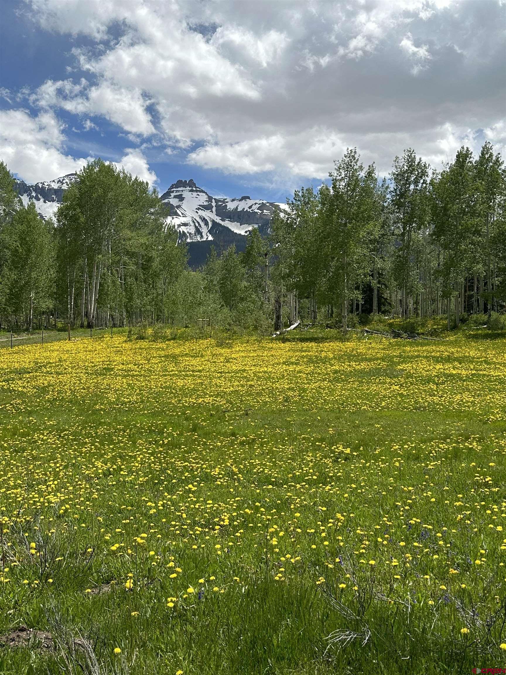 13 County Road 5 Ridgway, CO 81432 - Photo 7 of 23 a view of a city