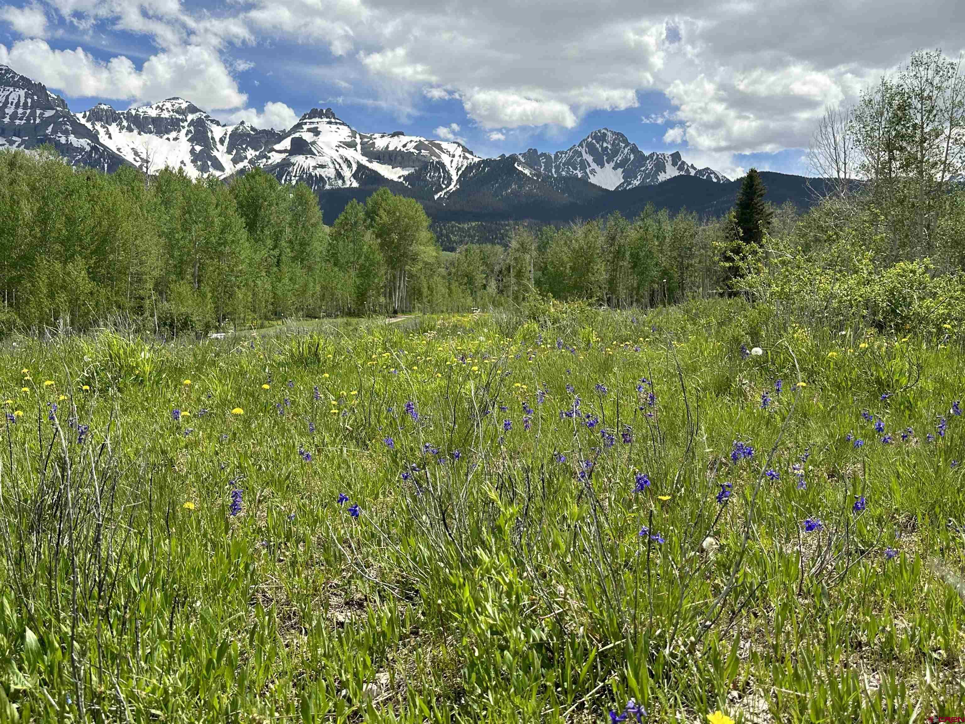 13 County Road 5 Ridgway, CO 81432 - Photo 10 of 23 a view of lake