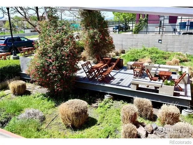 a bunch of trees sitting in a yard