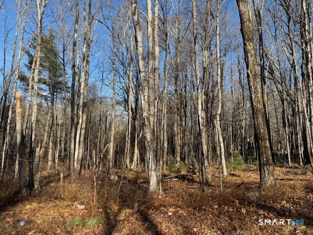 Center Road Woodstock, CT 06281 - Photo 2 of 6 a view of outdoor space with lots of trees