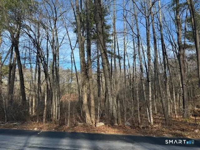 a view of outdoor space with wooden floor
