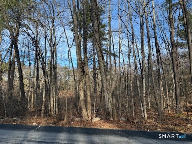 Center Road Woodstock, CT 06281 - Photo 4 of 6 a view of outdoor space with wooden floor