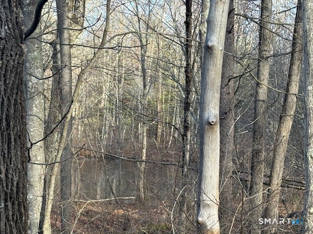 Center Road Woodstock, CT 06281 - Photo 5 of 6 a backyard of a house