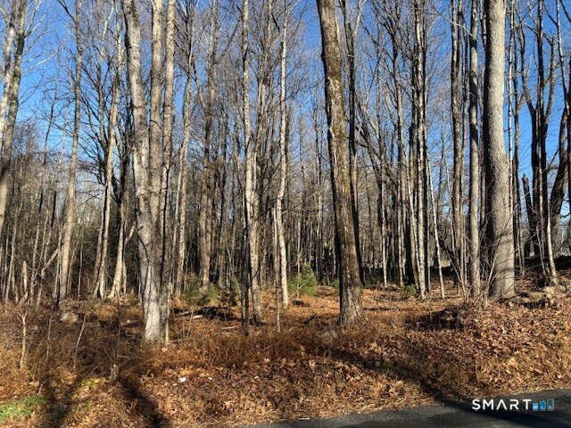 Center Road Woodstock, CT 06281 - Photo 6 of 6 a view of outdoor space with lots of trees