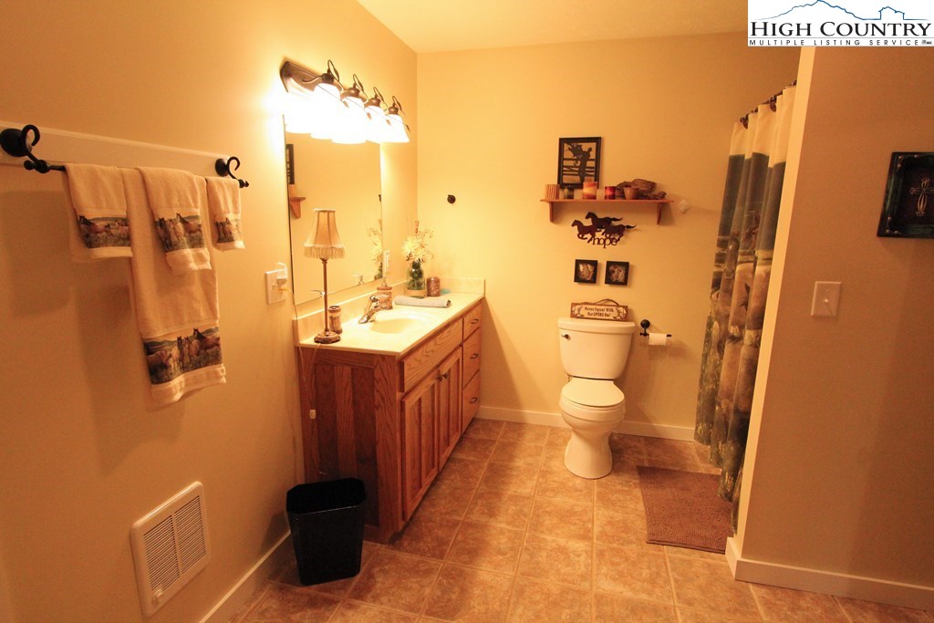 931 Graystone Road Independence, VA 24348 - Photo 23 of 32 a bathroom with a sink a toilet and shower
