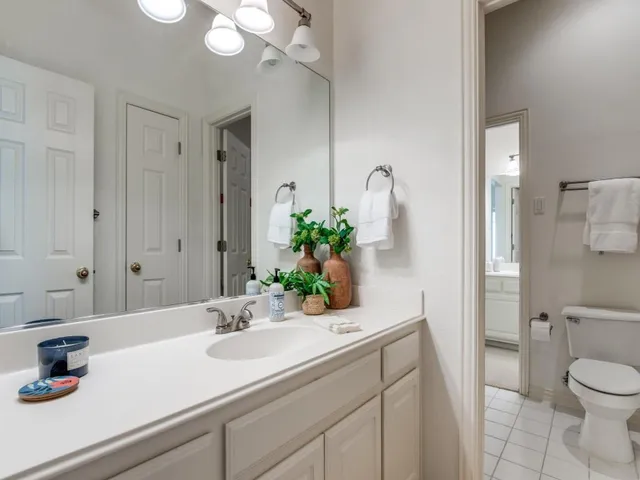 a bathroom with a sink a toilet and a mirror