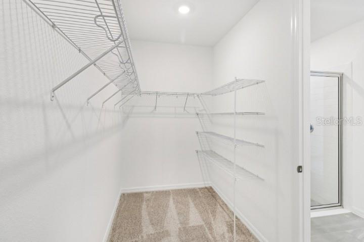 17637 Lake Star Road Winter Garden, FL 34787 - Photo 22 of 29