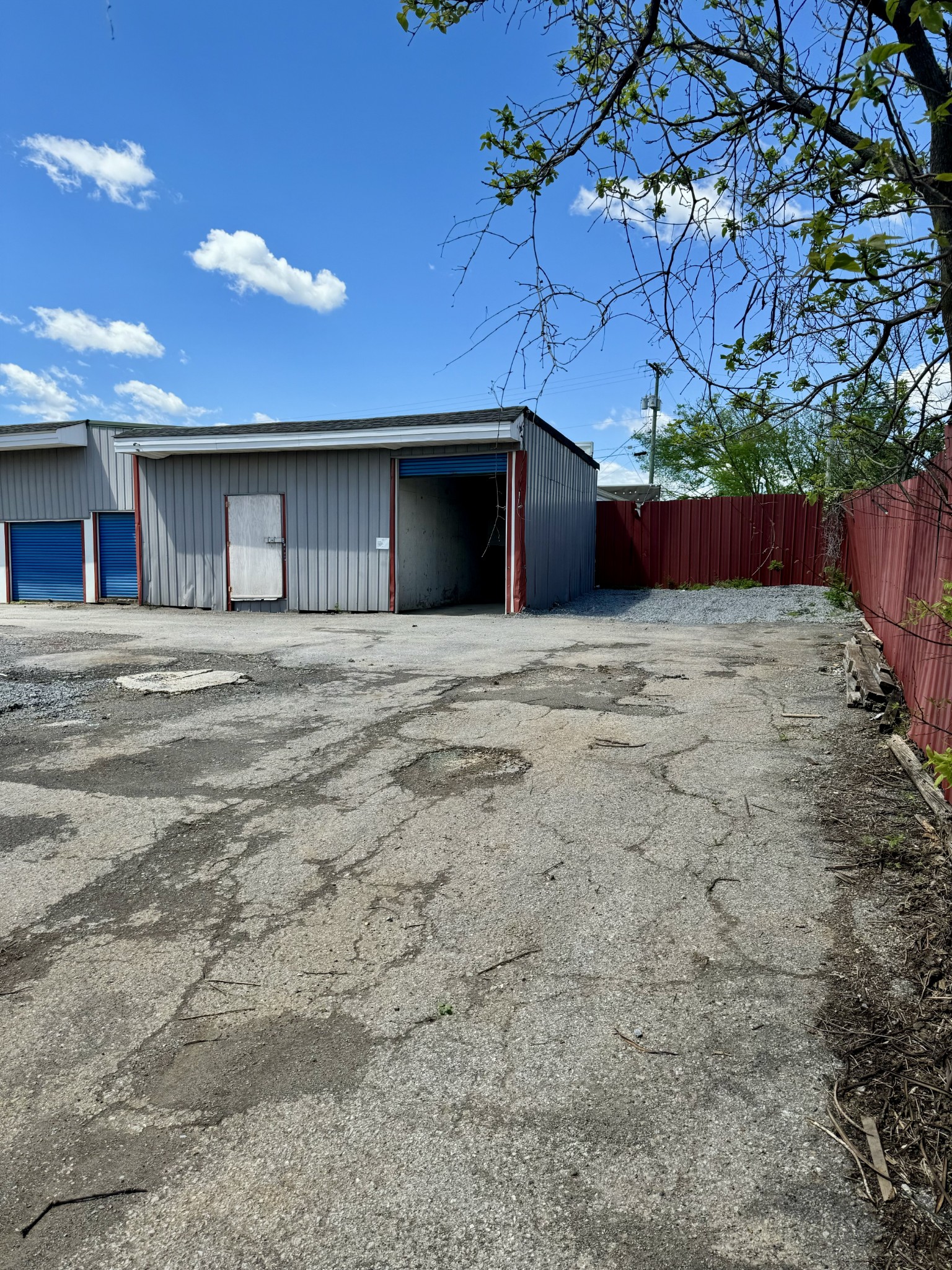 610 West Burton Street Murfreesboro, TN 37130 - Photo 24 of 32 a big room with potted plants and large trees