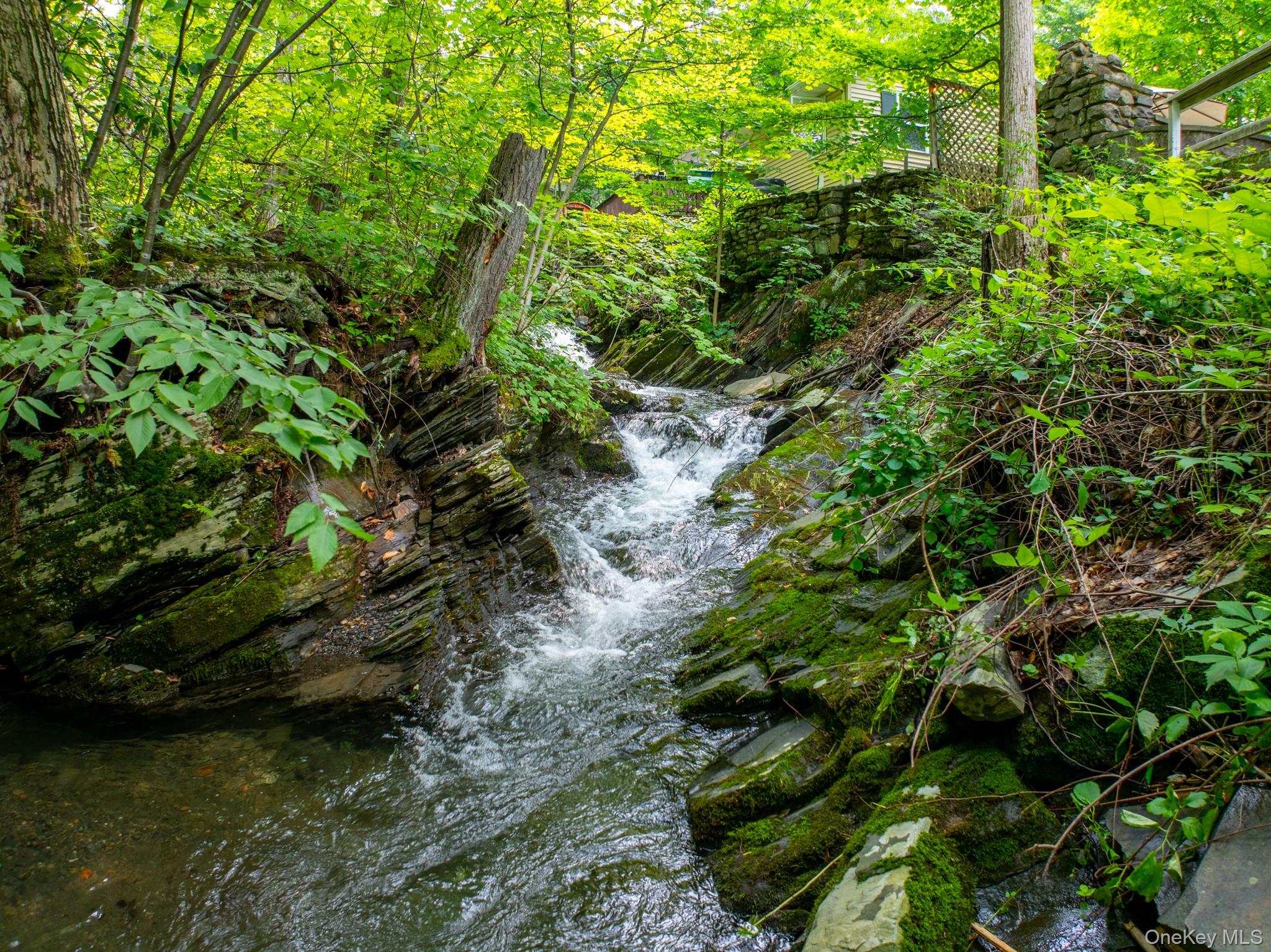 9 Higgins Trail Monroe, NY 10950 - Photo 8 of 24 a view of a garden with plants