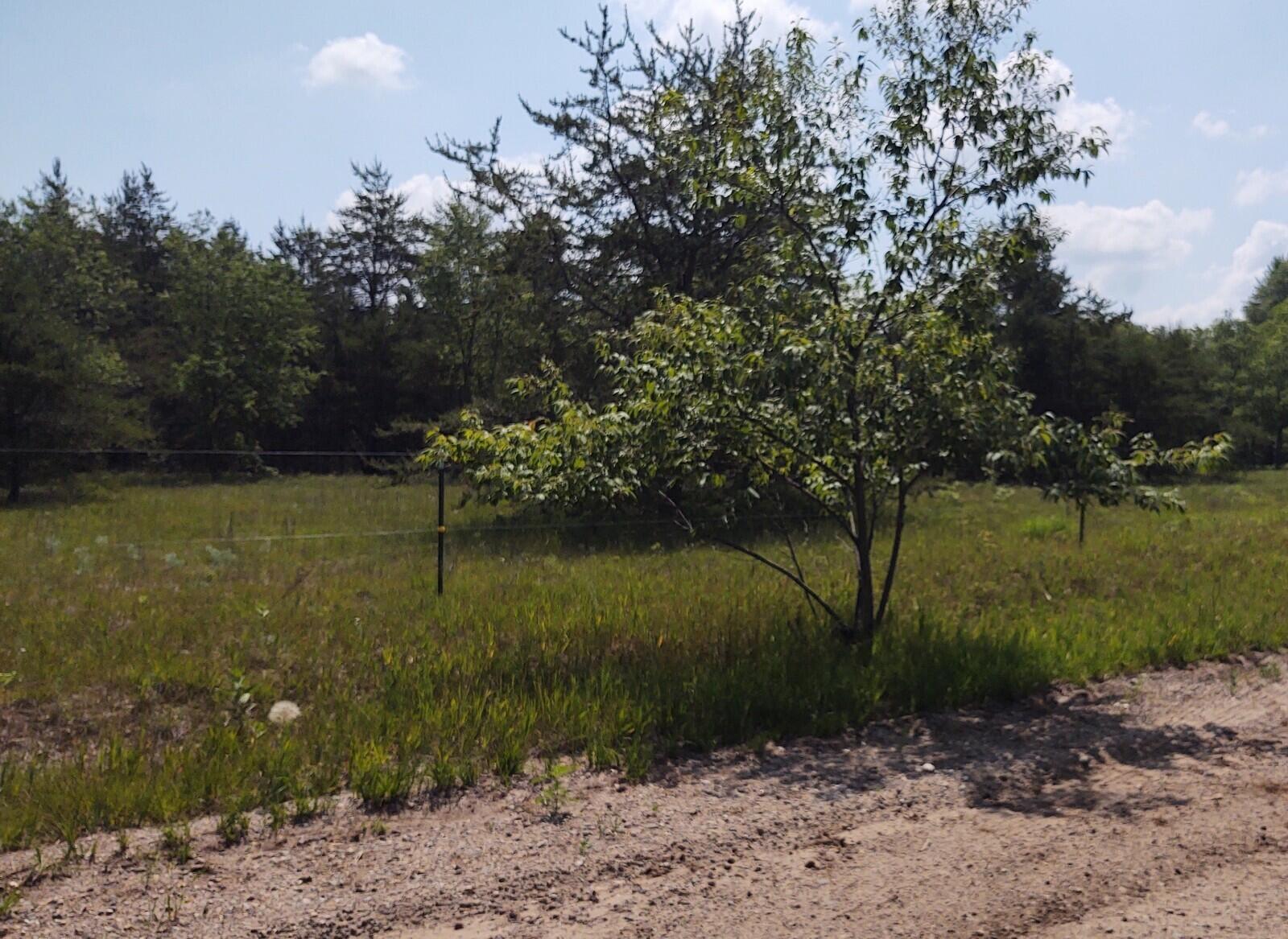 36 North Cut Road Roscommon, MI 48653 - Photo 6 of 18 Gallery Image 6