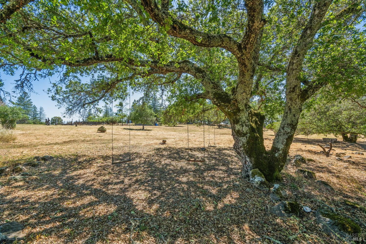 4665 Upper Ridge Road Santa Rosa, CA 95404 - Photo 52 of 71 a view of yard with tree