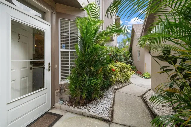 a plant that is in front of a window