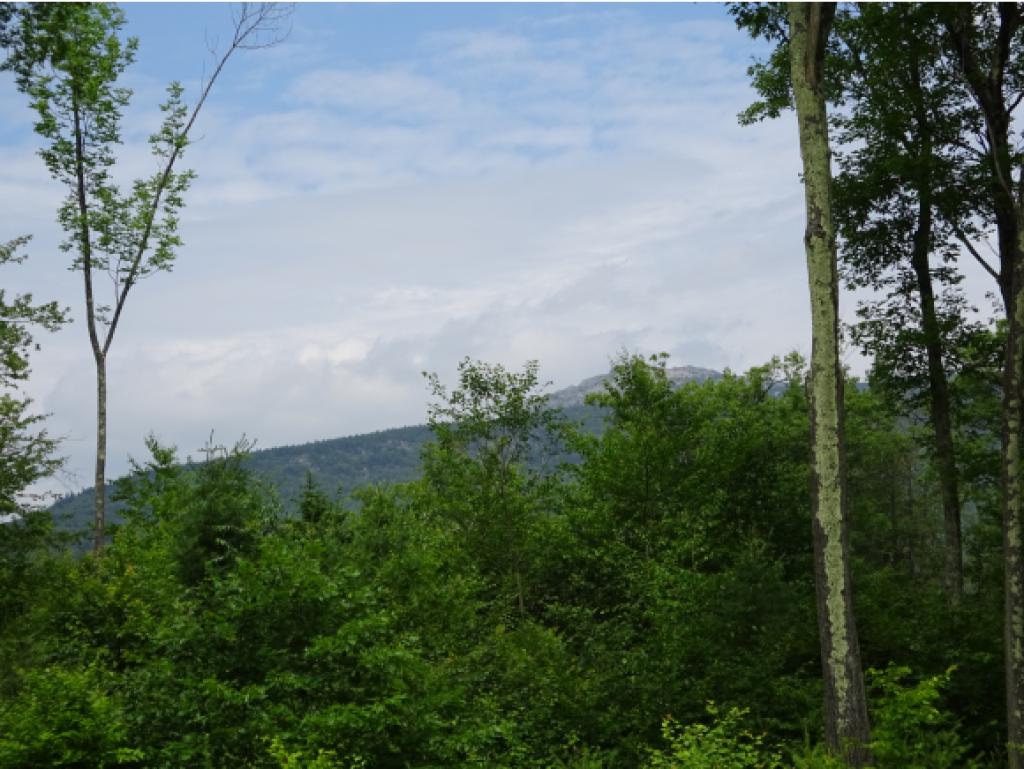48 Fitzwilliam Road Jaffrey, NH 03452 - Photo 3 of 19