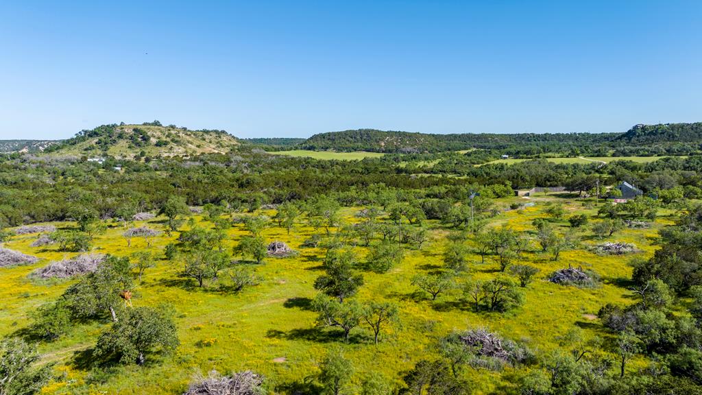 3610 Welgehausen Road Fredericksburg, TX 78624 - Photo 21 of 43 a view of a city with lush green forest