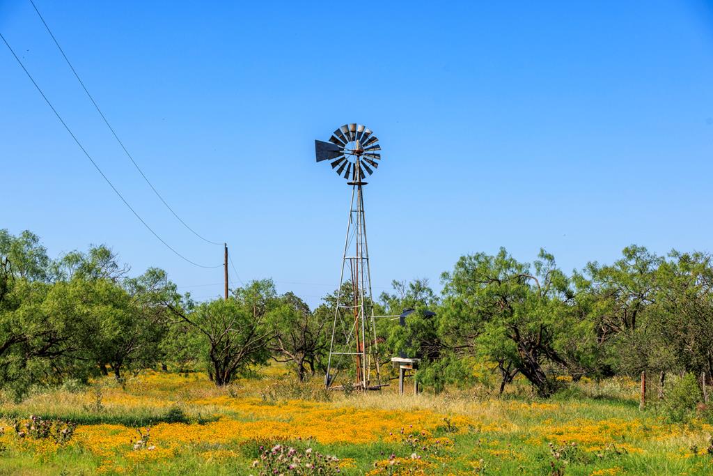 3610 Welgehausen Road Fredericksburg, TX 78624 - Photo 30 of 43 a view of a yard with plants