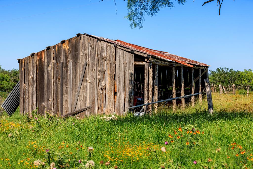 3610 Welgehausen Road Fredericksburg, TX 78624 - Photo 34 of 43 a view of a backyard with plants