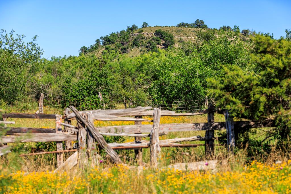 3610 Welgehausen Road Fredericksburg, TX 78624 - Photo 36 of 43 a view of a swimming pool with an outdoor seating and a yard