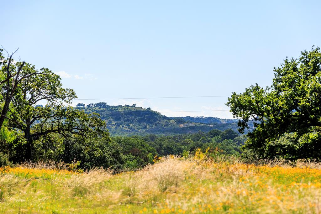 3610 Welgehausen Road Fredericksburg, TX 78624 - Photo 39 of 43 a view of a bunch of trees and bushes