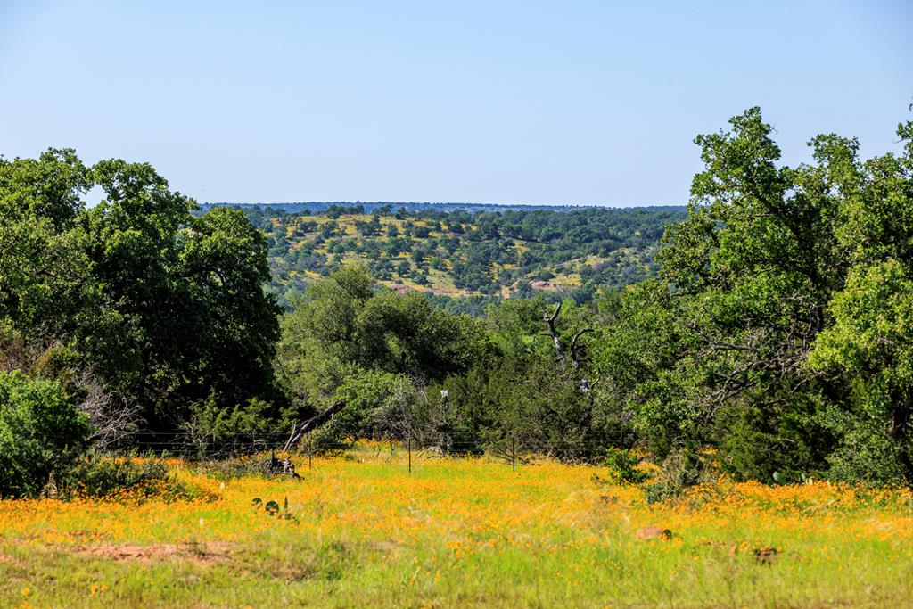 3610 Welgehausen Road Fredericksburg, TX 78624 - Photo 40 of 43 a view of a yard of a house
