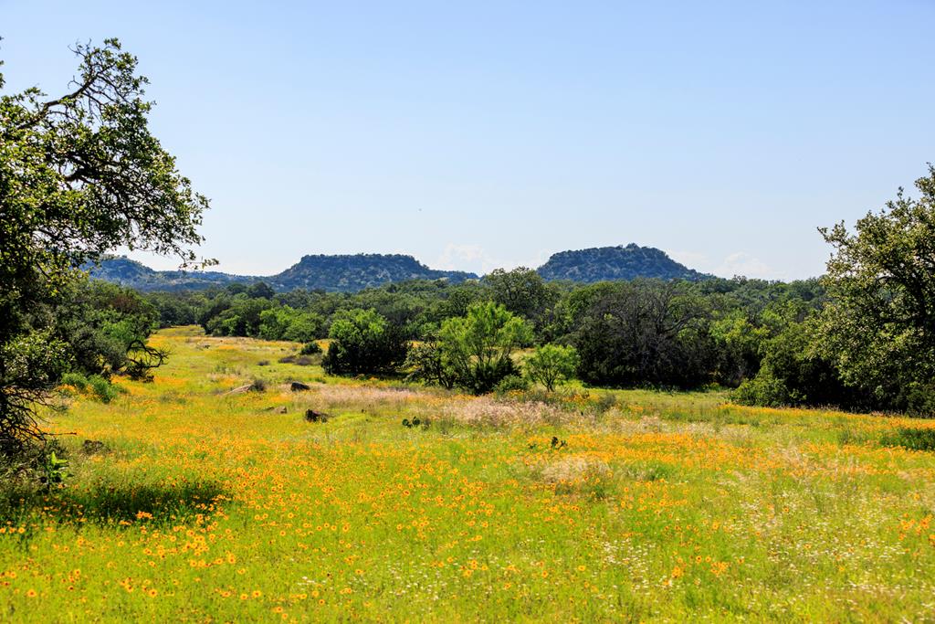 3610 Welgehausen Road Fredericksburg, TX 78624 - Photo 41 of 43 a view of a swimming pool with a yard