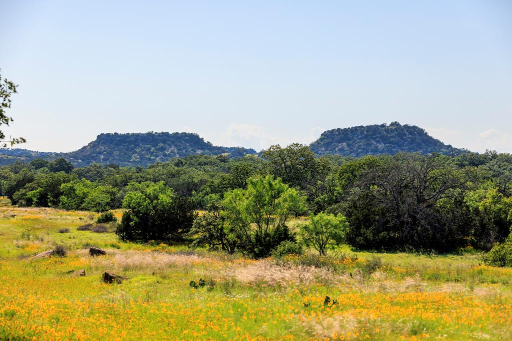 3610 Welgehausen Road Fredericksburg, TX 78624 - Photo 42 of 43 a view of a yard with a house