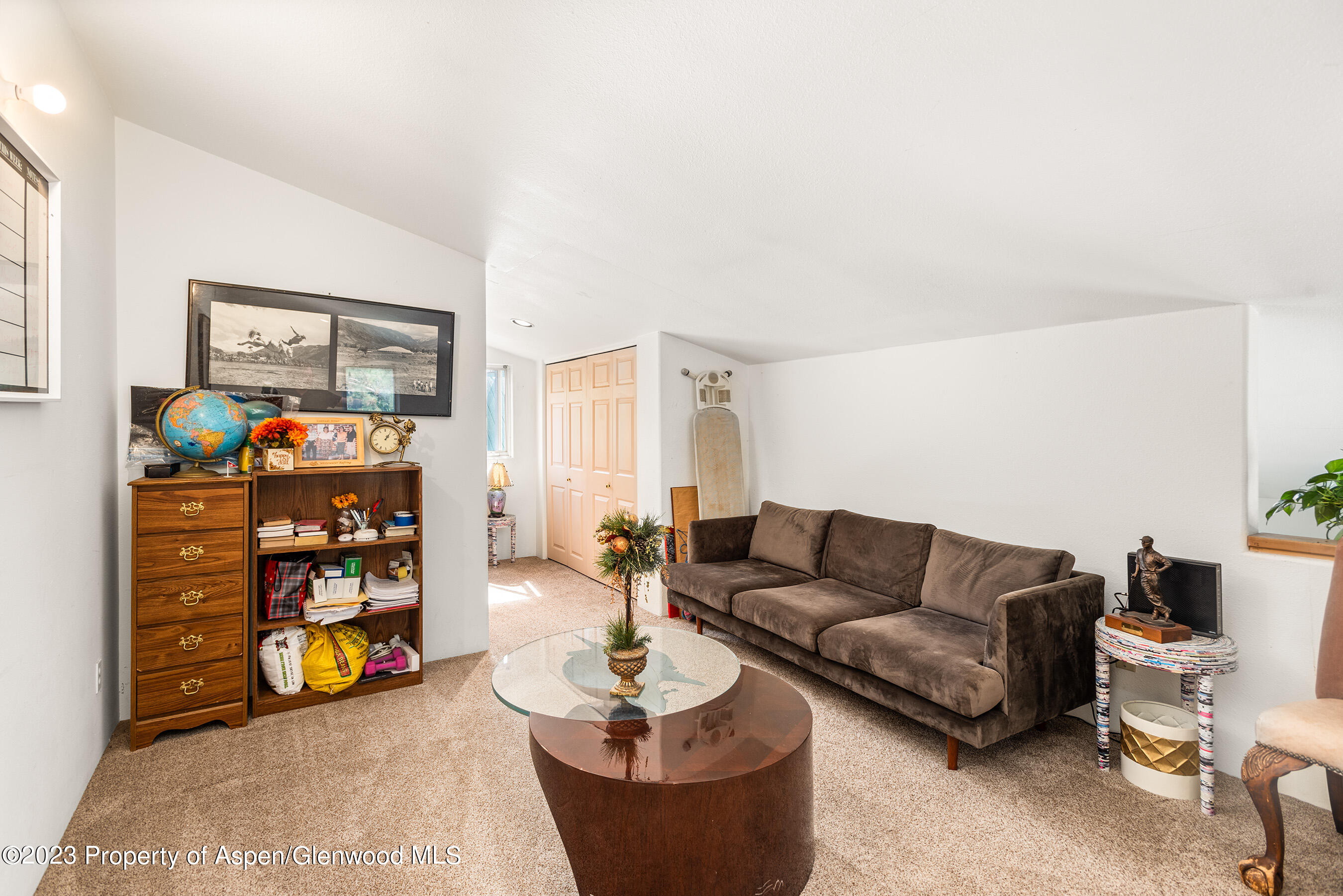 141-143 Swinging Bridge Lane Basalt, CO 81621 - Photo 12 of 35 a living room with furniture and a shelf