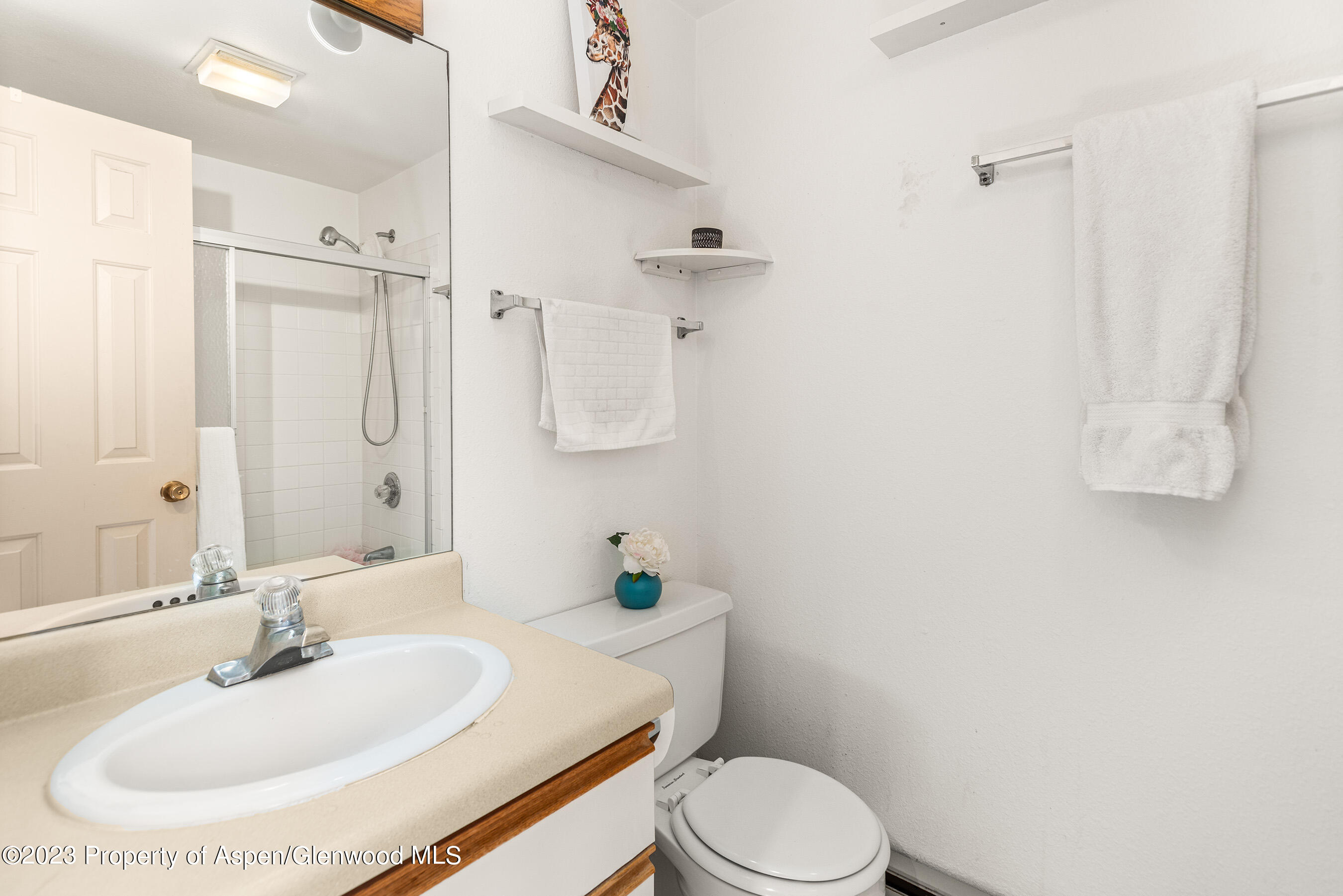 141-143 Swinging Bridge Lane Basalt, CO 81621 - Photo 14 of 35 a bathroom with a sink toilet and shower
