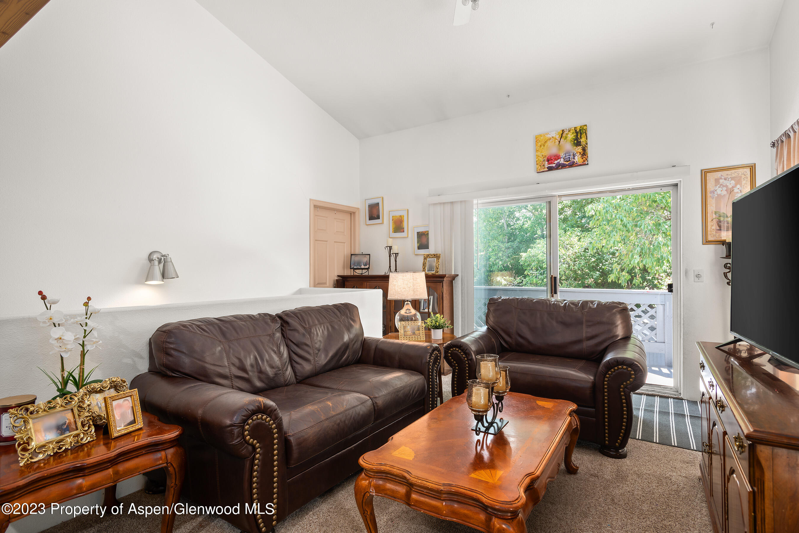 141-143 Swinging Bridge Lane Basalt, CO 81621 - Photo 19 of 35 a living room with furniture a flat screen tv and a window