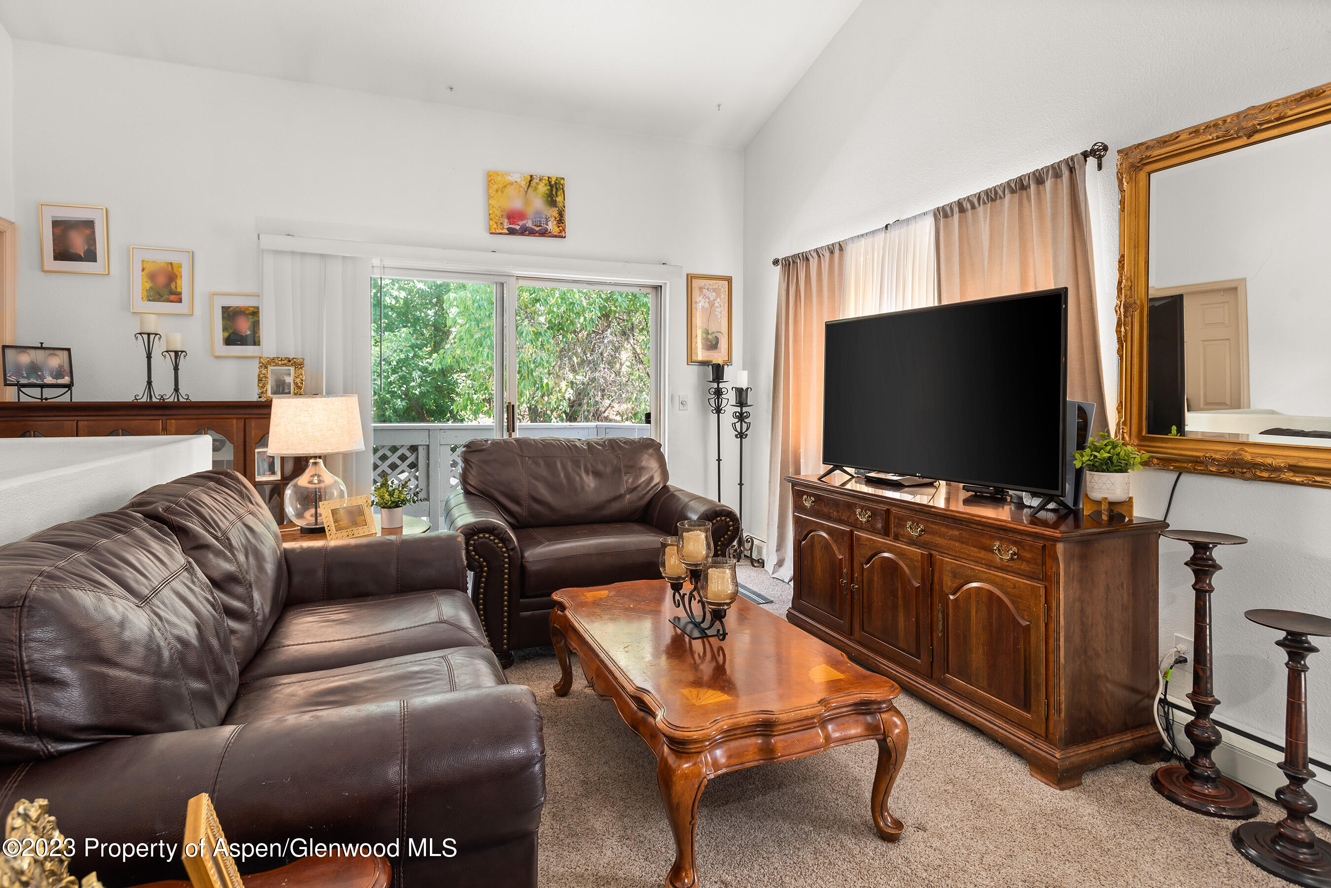 141-143 Swinging Bridge Lane Basalt, CO 81621 - Photo 20 of 35 a living room with furniture and a flat screen tv