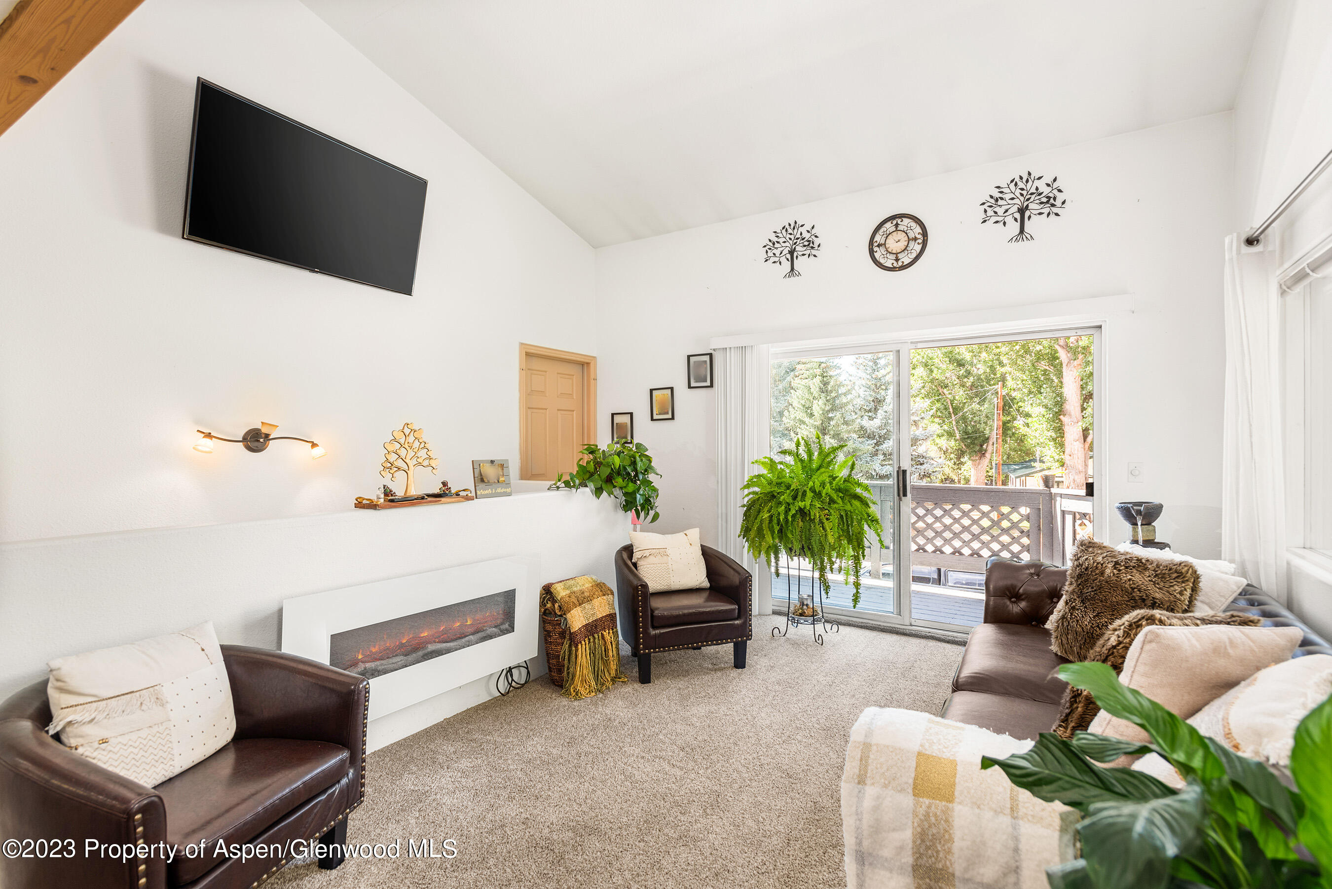 141-143 Swinging Bridge Lane Basalt, CO 81621 - Photo 3 of 35 a living room with furniture and a flat screen tv