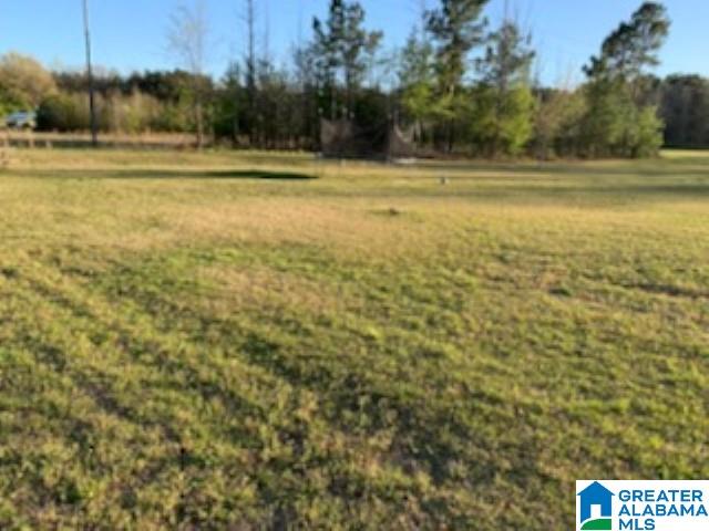 253 Foster Lane Sylacauga, AL 35150 - Photo 3 of 30