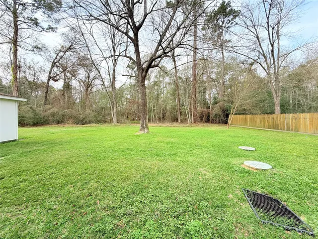 a view of a park with large trees