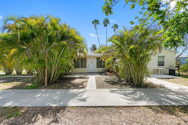 a view of a yard with plants