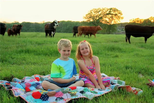 $990,000 | 1500 Cr 102 Road, Mount Calm, TX 76673