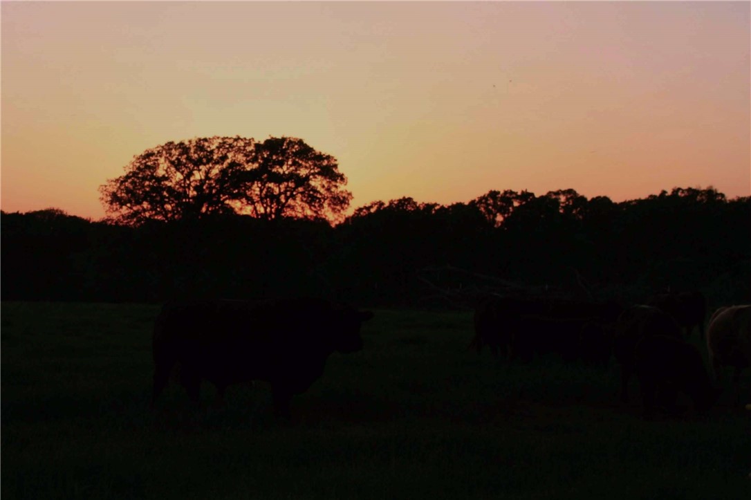 1500 Cr 102 Road Mount Calm, TX 76673 - Photo 47 of 47