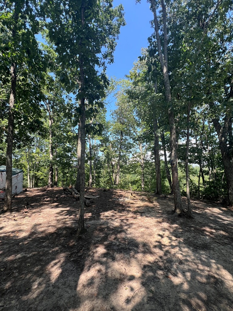 1730 Wilson Ridge Road Jamestown, TN 38556 - Photo 12 of 19 Gallery Image 12