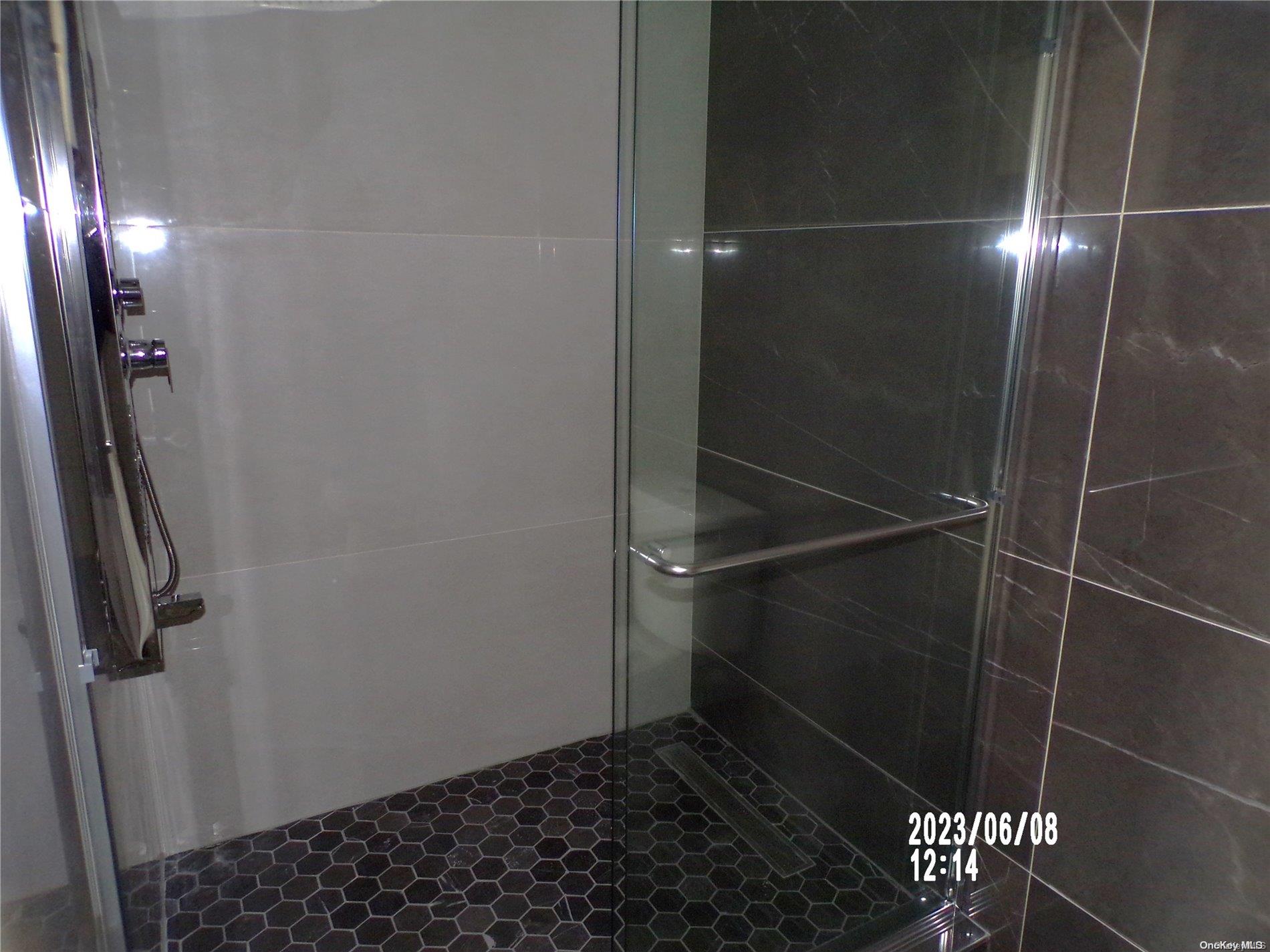 695 Monroe Street Brooklyn, NY 11221 - Photo 12 of 23 a bathroom with a shower