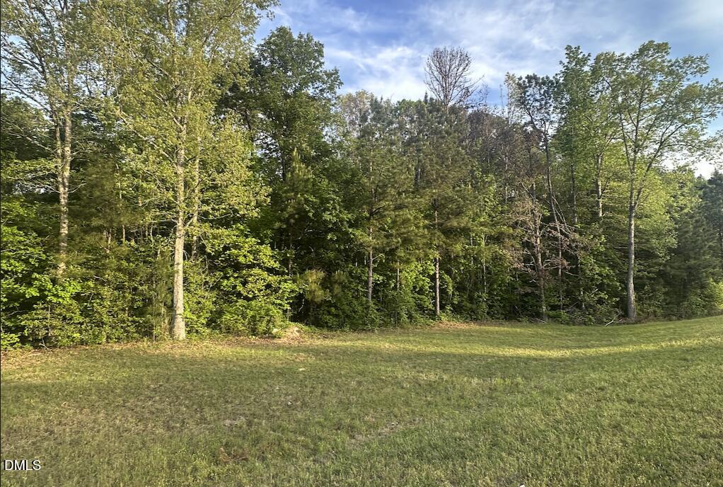 0 L L Cooper Road Cameron, NC 28326 - Photo 2 of 17 a view of a field with trees in the background