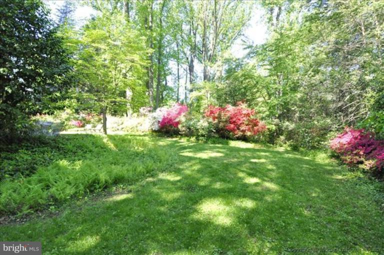 415 Pershing Drive Silver Spring, MD 20910 - Photo 2 of 20 Back yard View