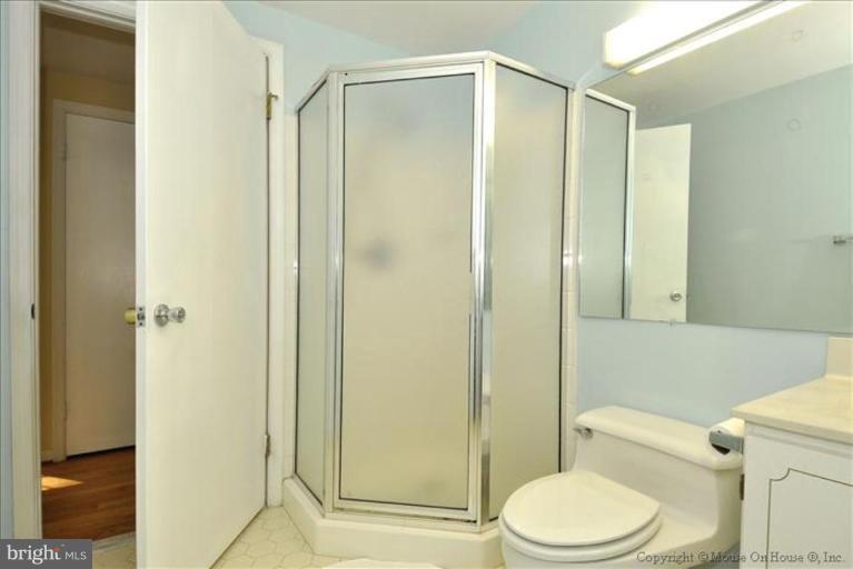 415 Pershing Drive Silver Spring, MD 20910 - Photo 13 of 20 Master Bath Shower