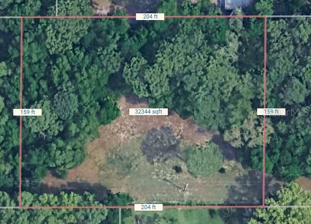 North Thompson Road Apopka, FL 32712 - Photo 2 of 8 a view of a forest with a street view