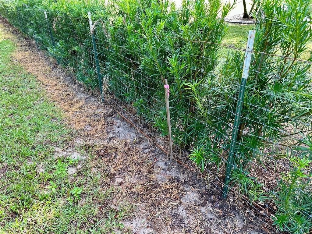 North Thompson Road Apopka, FL 32712 - Photo 8 of 8 a view of a large yard with lots of green space