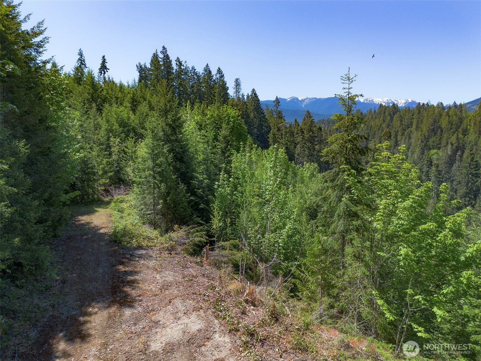 9999 Blue Mountain Road Port Angeles, WA 98362 - Photo 16 of 38 Gallery Image 16