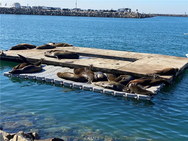 $4,900 | 2176 South Coast Highway, Oceanside, CA 92054