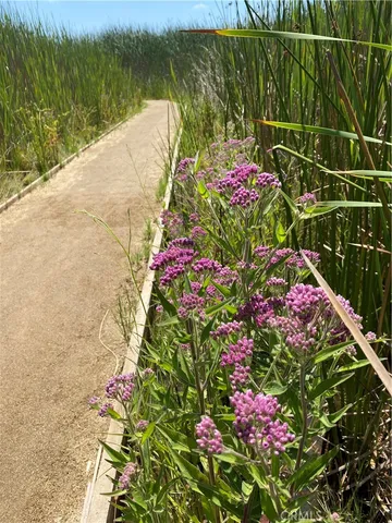 $4,900 | 2176 South Coast Highway, Oceanside, CA 92054