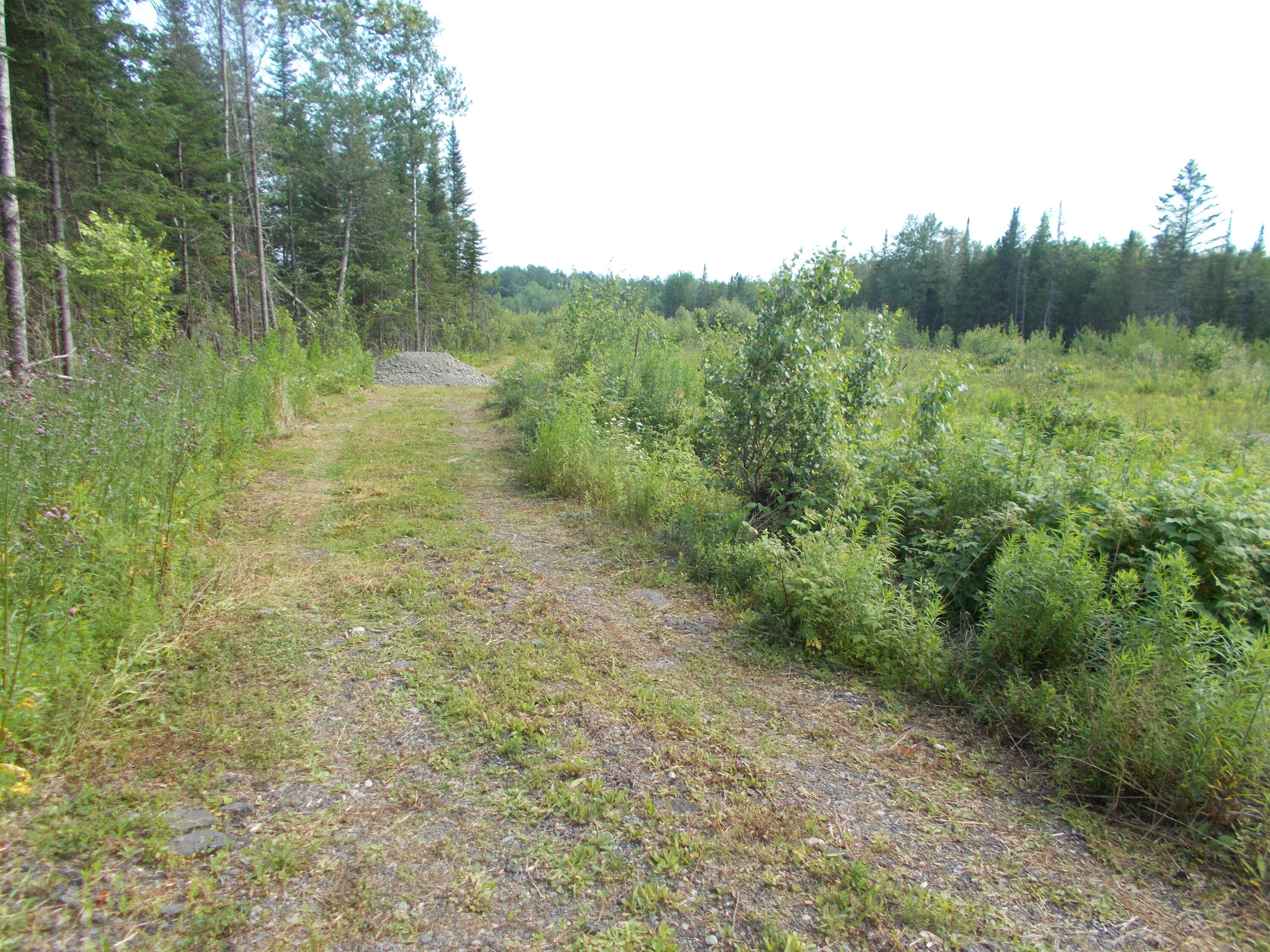 Lot 13 Canaan Road Pittsfield, ME 04967 - Photo 3 of 14 DSCN2533