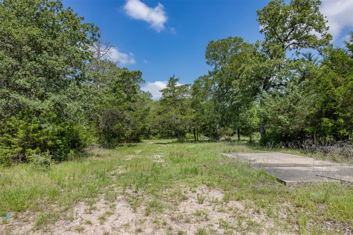 Tbd Halamicek Loop Fayetteville, TX 78940 - Photo 15 of 41 a view of a field with plants and trees