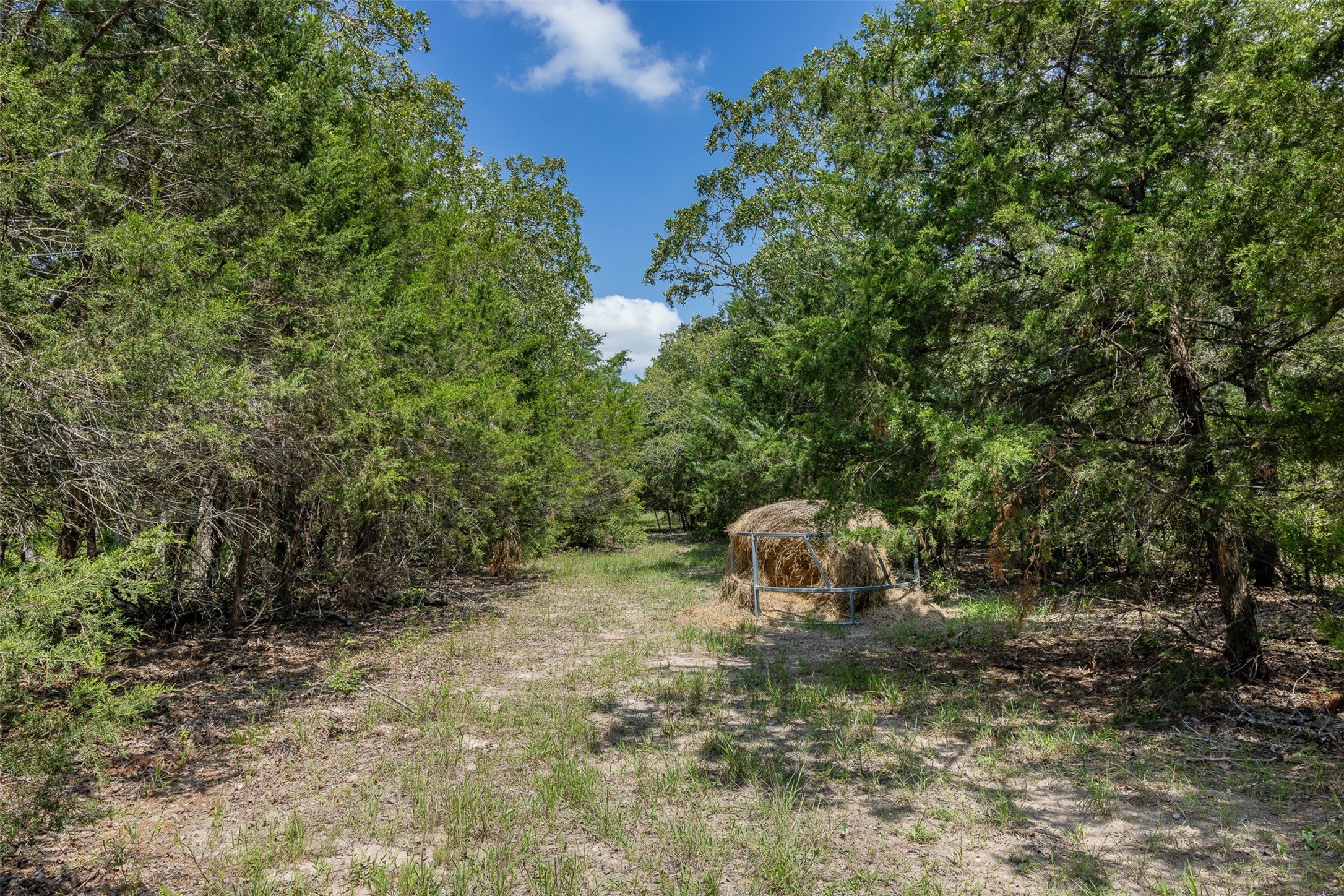Tbd Halamicek Loop Fayetteville, TX 78940 - Photo 15 of 34 a backyard of a house with lots of green space and fog